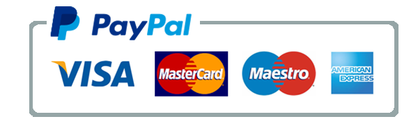 PayPal Payment Icon